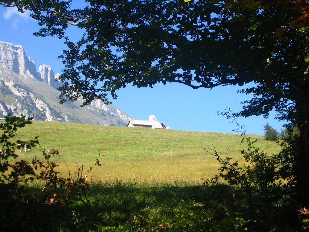 Zimmer & Z'Morgae Schoenenboden Wildhaus Bagian luar foto